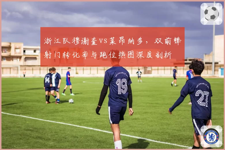 浙江队穆谢奎vs莱昂纳多，双前锋射门转化率与跑位热图深度剖析