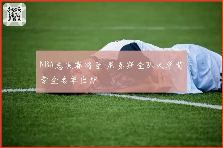 NBA总决赛将至 尼克斯全队大学背景全名单出炉